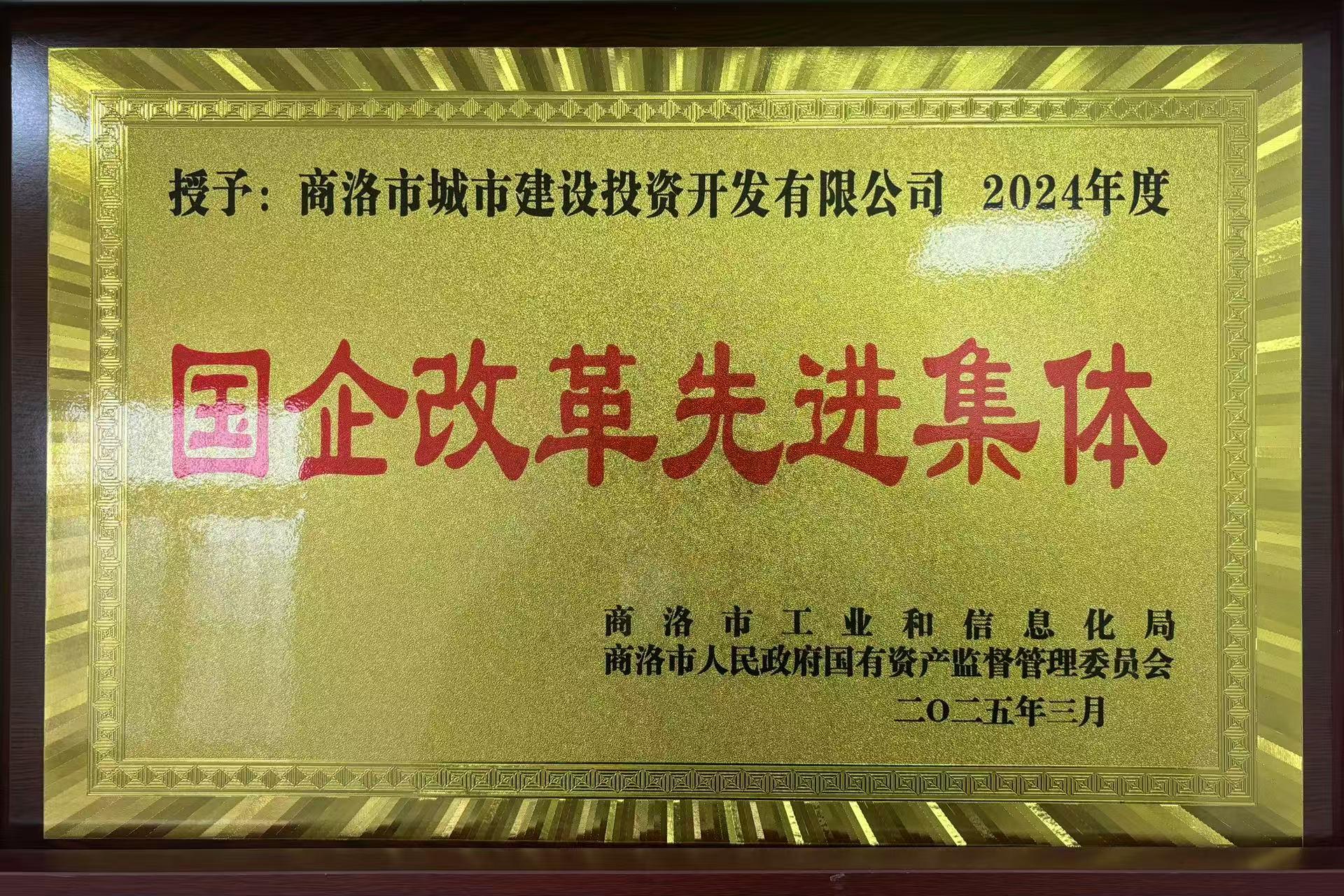 2024年度国企改革先进集体